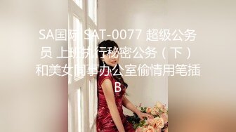 SA国际 SAT-0077 超级公务员 上班执行秘密公务（下）和美女同事办公室偷情用笔插B