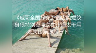 《威哥全国探花》酒店约嫖纹身很特别卖淫女中途逼太干用农夫山泉湿润一下