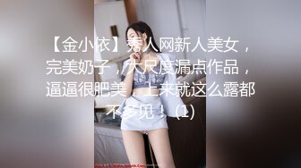 【金小依】秀人网新人美女，完美奶子，大尺度漏点作品，逼逼很肥美，上来就这么露都不多见！ (1)